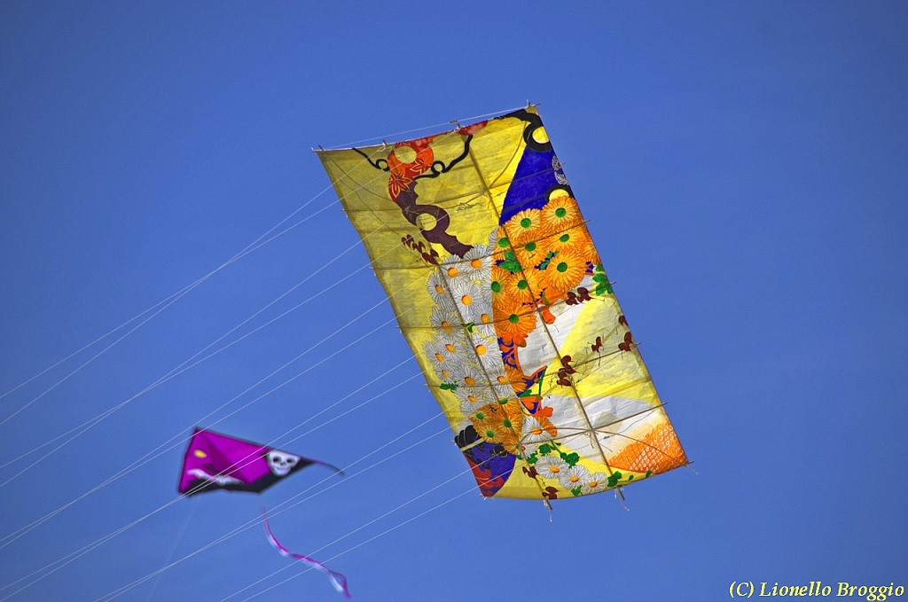 32 FESTIVAL CERVIA 2012 - 214.jpg